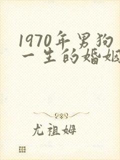 1970年男狗一生的婚姻及命运