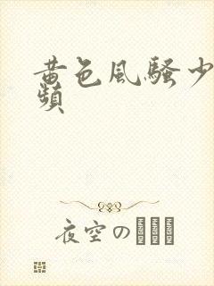 黄色风骚少妇视频