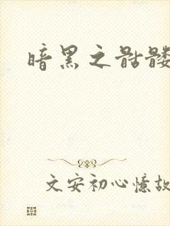 暗黑之骷髅王封面