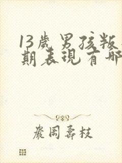 13岁男孩叛逆期表现有哪些