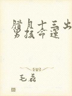 腊月十三出生的男孩命运