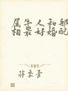 属牛人和那个属相最好婚配