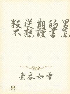 叛逆期的男孩子不想读书怎么办