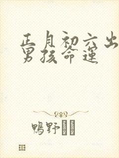 正月初六出生的男孩命运