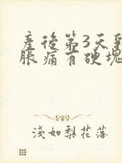 产后第3天乳房胀痛有硬块怎么办