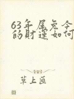 63年属兔今天的财运如何