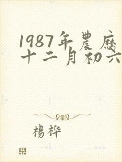 1987年农历十二月初六是什么星座