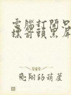 电脑打开只有鼠标箭头黑屏怎么办