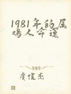 1981年的属鸡人命运封面
