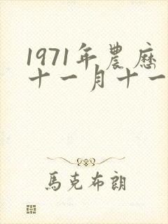 1971年农历十一月十一是什么命