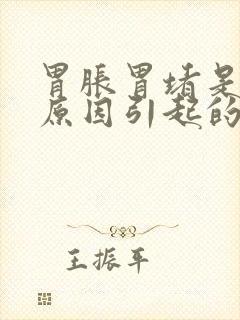 胃胀胃堵是什么原因引起的