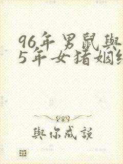 96年男鼠与95年女猪姻缘如何