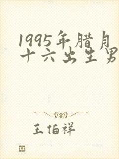 1995年腊月十六出生男孩命运