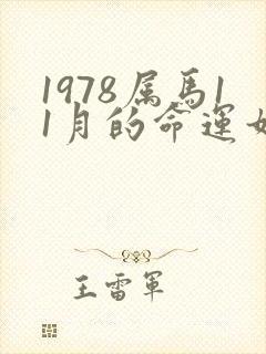 1978属马11月的命运如何