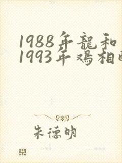 1988年龙和1993年鸡相配吗