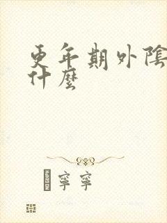 更年期外阴痒用什么