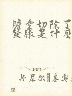 胆囊切除了肚子发胀是什么原因