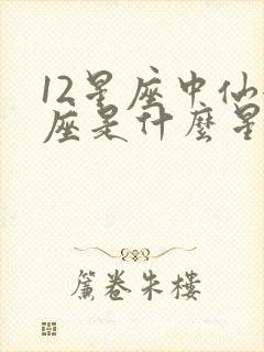 12星座中仙女座是什么星座