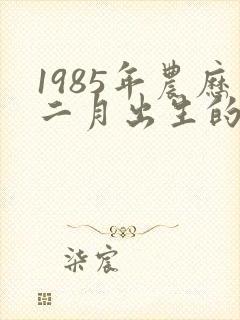 1985年农历二月出生的人命运是怎么样