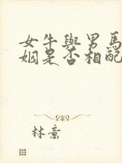 女牛与男马的婚姻是否相配