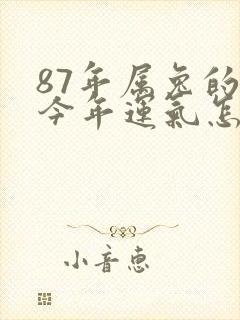 87年属兔的人今年运气怎么样