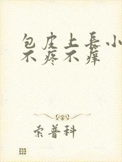 包皮上长小疙瘩不疼不痒封面