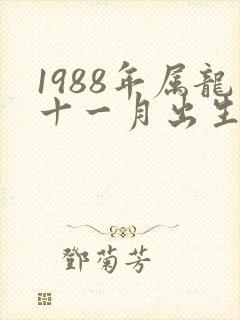1988年属龙十一月出生命运