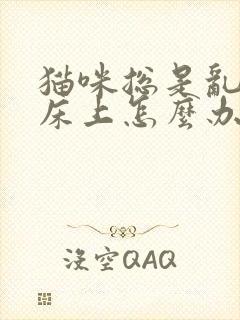 猫咪总是乱尿在床上怎么办