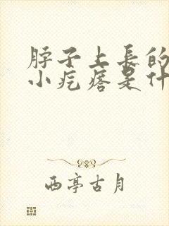 脖子上长的凸起小疙瘩是什么