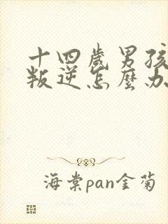 十四岁男孩非常叛逆怎么办