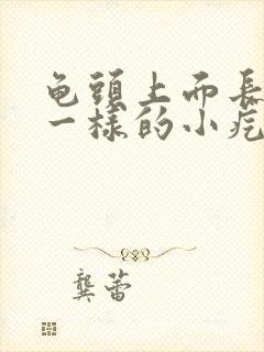 龟头上面长水泡一样的小疙瘩