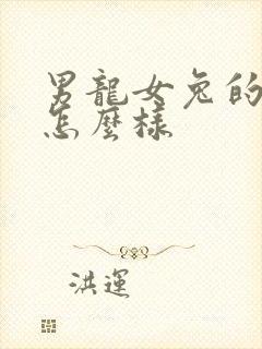 男龙女兔的婚姻怎么样