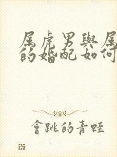 属虎男与属蛇女的婚配如何封面