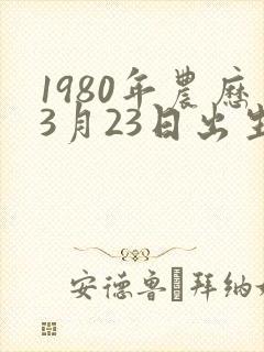 1980年农历3月23日出生人的命运