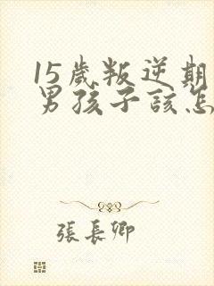15岁叛逆期的男孩子该怎样去沟通教育封面