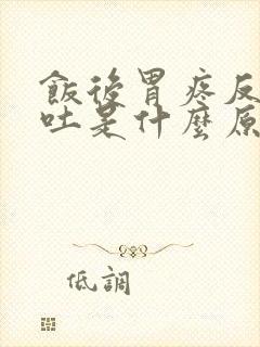 饭后胃疼反胃想吐是什么原因