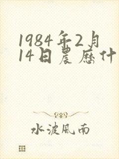 1984年2月14日农历什么命