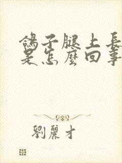 鸽子腿上长疙瘩是怎么回事