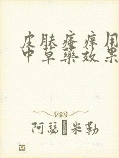 皮肤瘙痒用什么中草药效果好封面