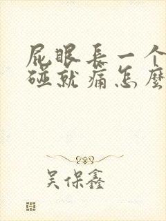 屁眼长一个包一碰就痛怎么办封面