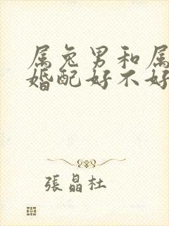 属兔男和属兔女婚配好不好