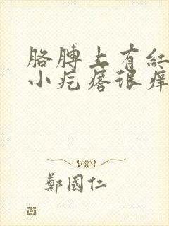 胳膊上有红色的小疙瘩很痒