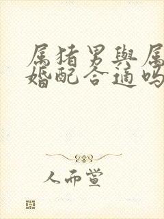 属猪男与属牛女婚配合适吗封面