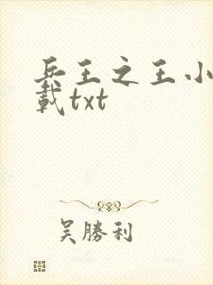 兵王之王小说下载txt