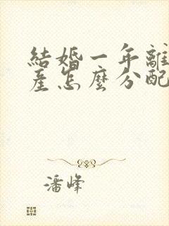 结婚一年离婚财产怎么分配