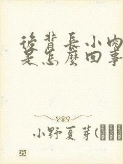 后背长小肉疙瘩是怎么回事