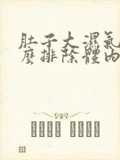 肚子大湿气重怎么排除体内湿气封面