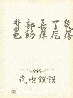 背部长了几个红色的痒疙瘩