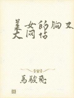 美女的胸又黄又大网站