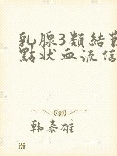 乳腺3类结节有点状血流信号